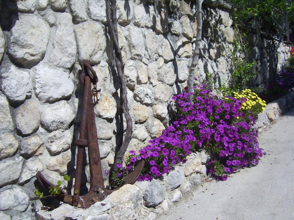 Apartments Villa More Makarska Exterior photo